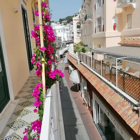 Camerelle 7, Domus Letteraria *