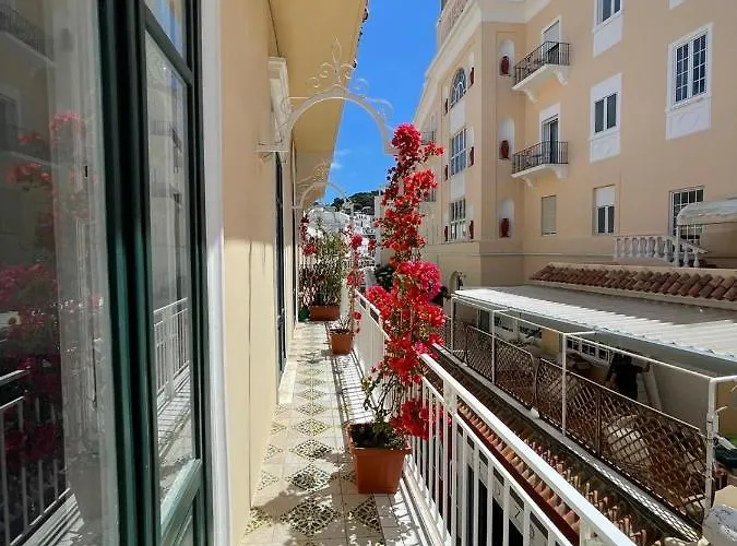 Camerelle 7, Domus Letteraria