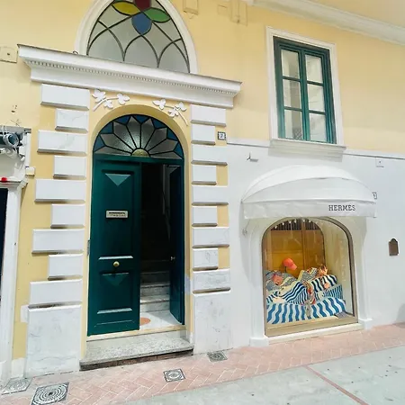 Daire Camerelle 7, Domus Letteraria