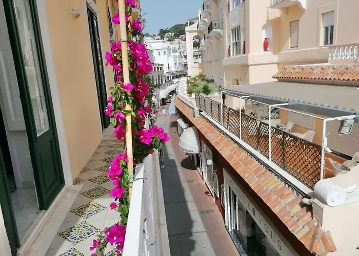 Camerelle 7, Domus Letteraria *